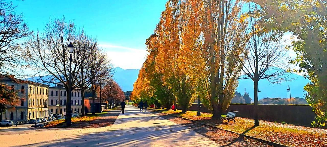 Finca Del Sol Лукка Екстер'єр фото