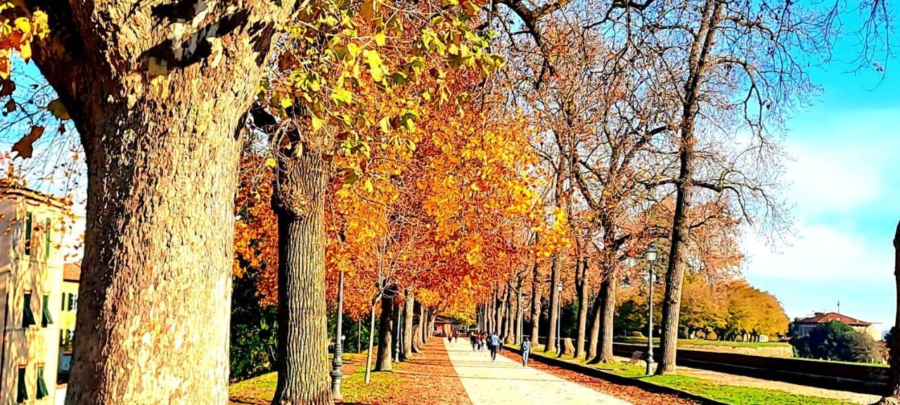 Finca Del Sol Лукка Екстер'єр фото